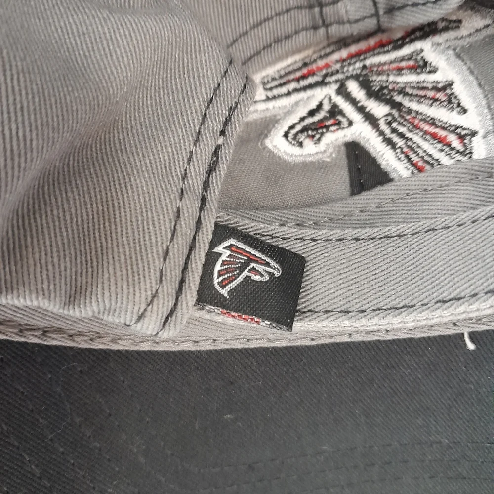 Falcon - Picture 5 of 5